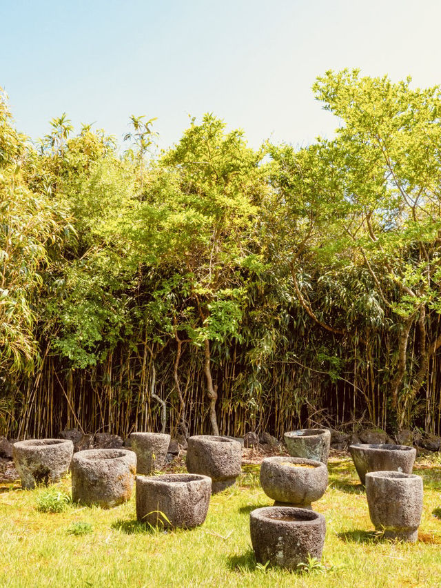 An Educational Journey Through Jeju's Folklore
