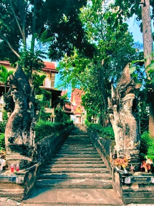 🎋สักการะ วัดพระธาตุช่อแฮ