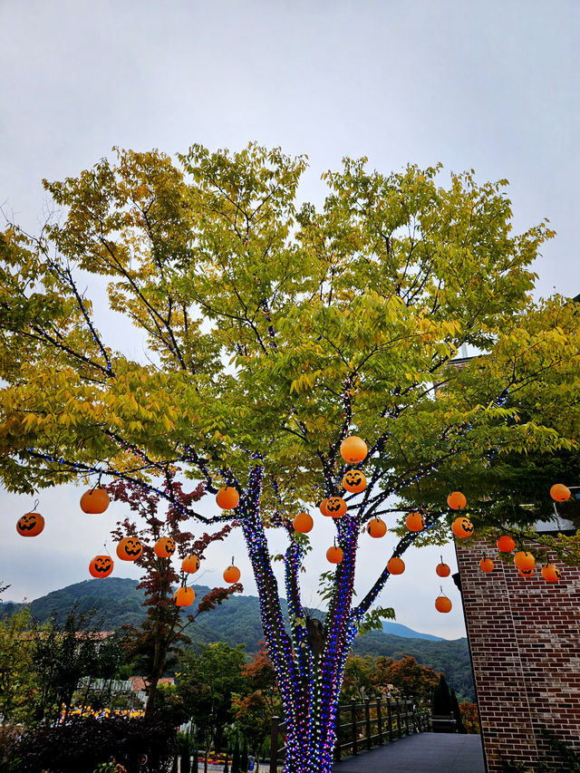 줄거운 나들이🍁