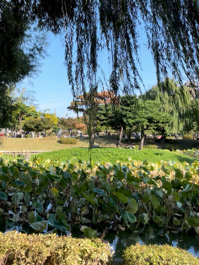  🌸 행궁동에서 보내는 따뜻한 오후의 산책 🍞