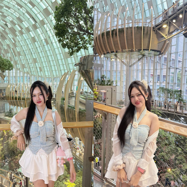 แจกแพลน เที่ยว ฉงชิ่ง   5 วัน 4 คืน 🇨🇳