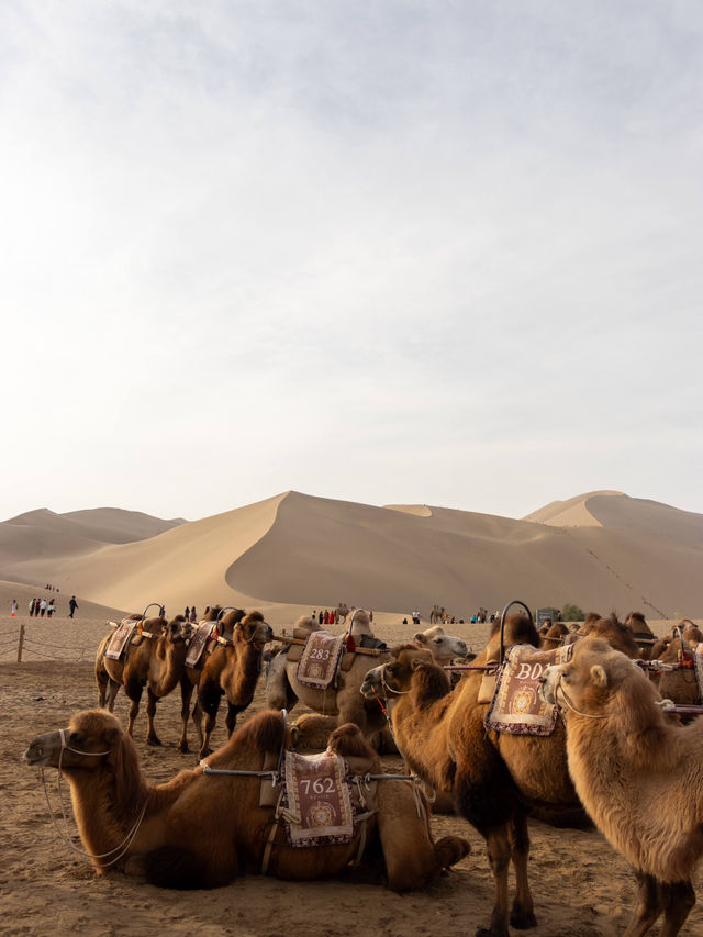 Is DunHuang worth visiting?