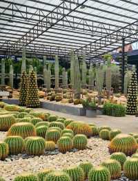 🌿 Nong Nooch Tropical Botanical Garden, Pattaya