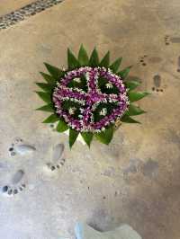 ネパールのチトワン