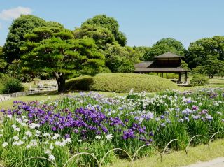 岡山後楽園を再訪する：深く味わうひとり旅