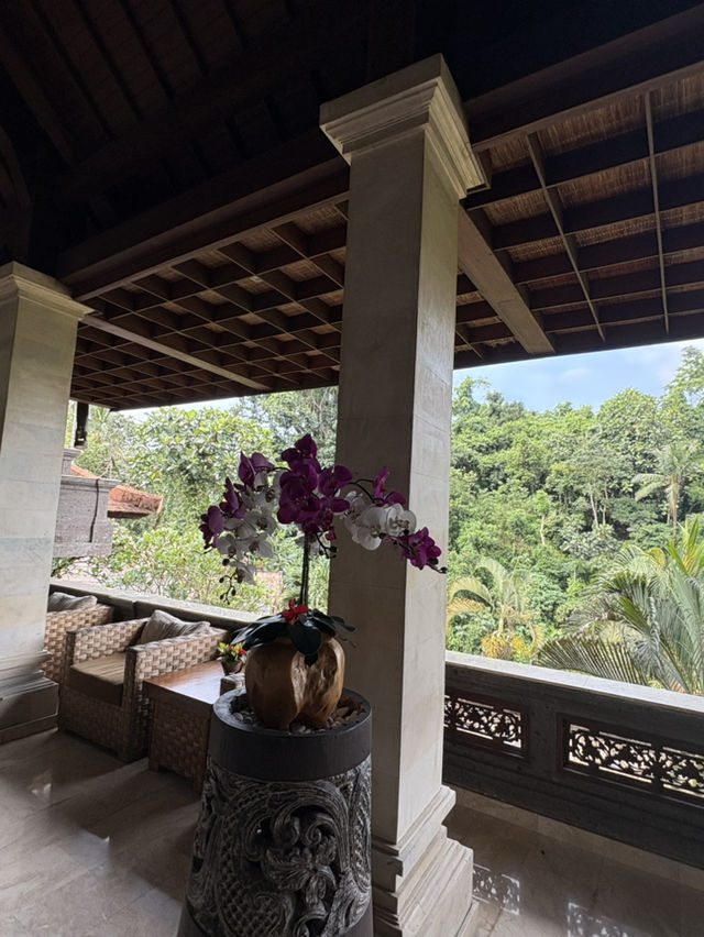 【バリ島おすすめホテル🇮🇩】ウブドエリア　チャンプアンホテル🌴✨