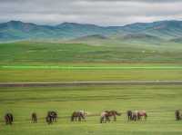Hustai National Park - Fantastic animal viewing.