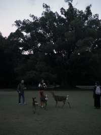 Fairytale Quebec🍁