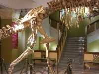 Central State Museum of Kazakhstan