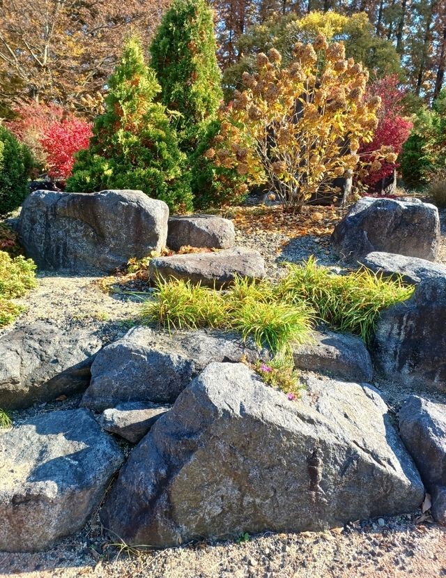 가을빛이 부드럽게 내려앉는 숲 가을빛이 부드럽게 내려앉는 숲