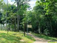A Breath of Fresh Air: Finding Tranquility in Putrajaya’s Wetland Park