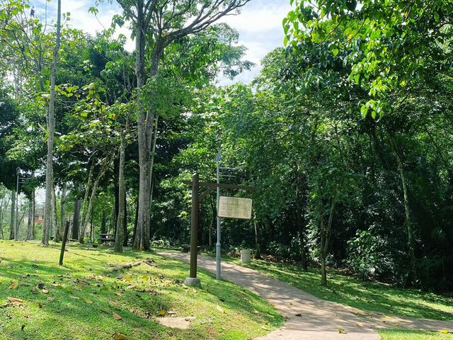 A Breath of Fresh Air: Finding Tranquility in Putrajaya’s Wetland Park A Breath of Fresh Air: Finding Tranquility in Putrajaya’s Wetland Park