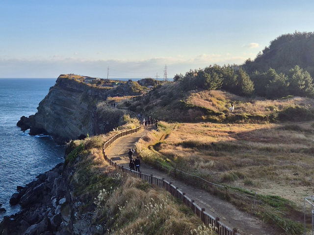 ๐ ์ ์ฃผ ์๊ทํฌ ์ก์
์ฐ ๋๋ ๊ธธ ์ ๋ณด ๐ข ๐ ์ ์ฃผ ์๊ทํฌ ์ก์
์ฐ ๋๋ ๊ธธ ์ ๋ณด ๐ข