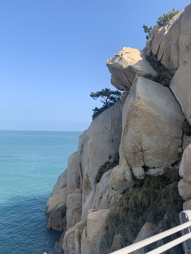 Ulsan Dreamscape✨ Ulsan Dreamscape✨