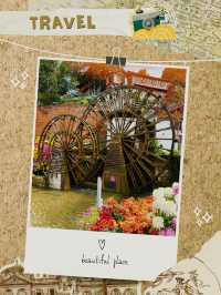 🌙✨ Midnight Magic in Lijiang Old Town — A Living Ancient Wonderland 