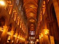 ⛪️巴黎聖母院｜走進歷史裡的一段靜謐