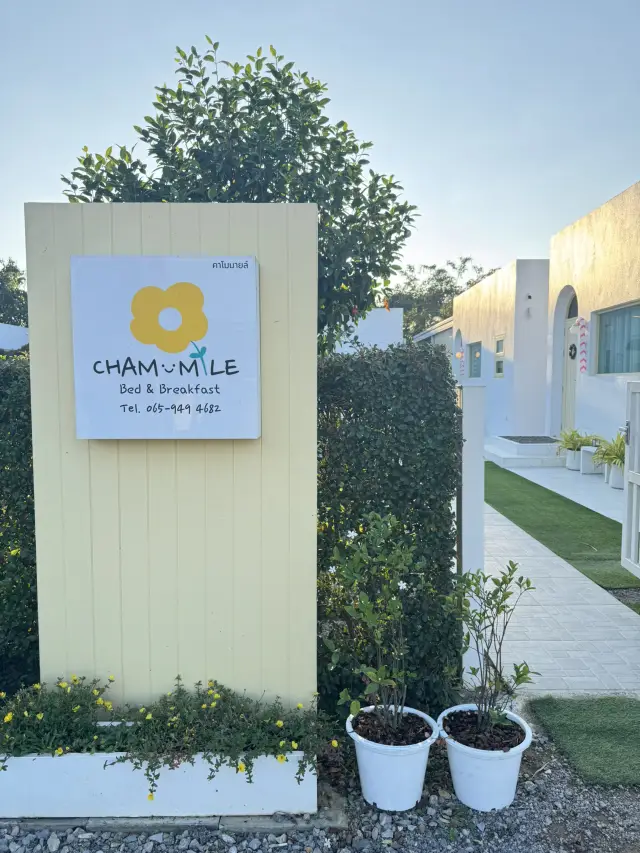 Chamomile bed and breakfast