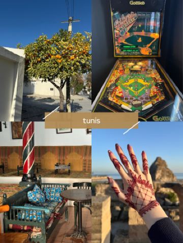 🍊뻔하지 않게 즐기는 튀니스 가이드 - 로컬 감성이 살아 있는 소소한 일정