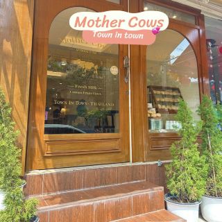 ร้านนมตุ๋นที่รสชาติอร่อย