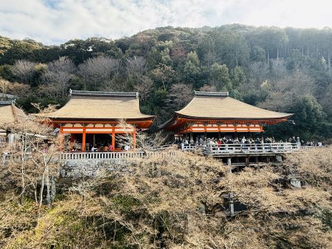素晴らしい世界文化遺産、清水寺 | Trip.com 京都