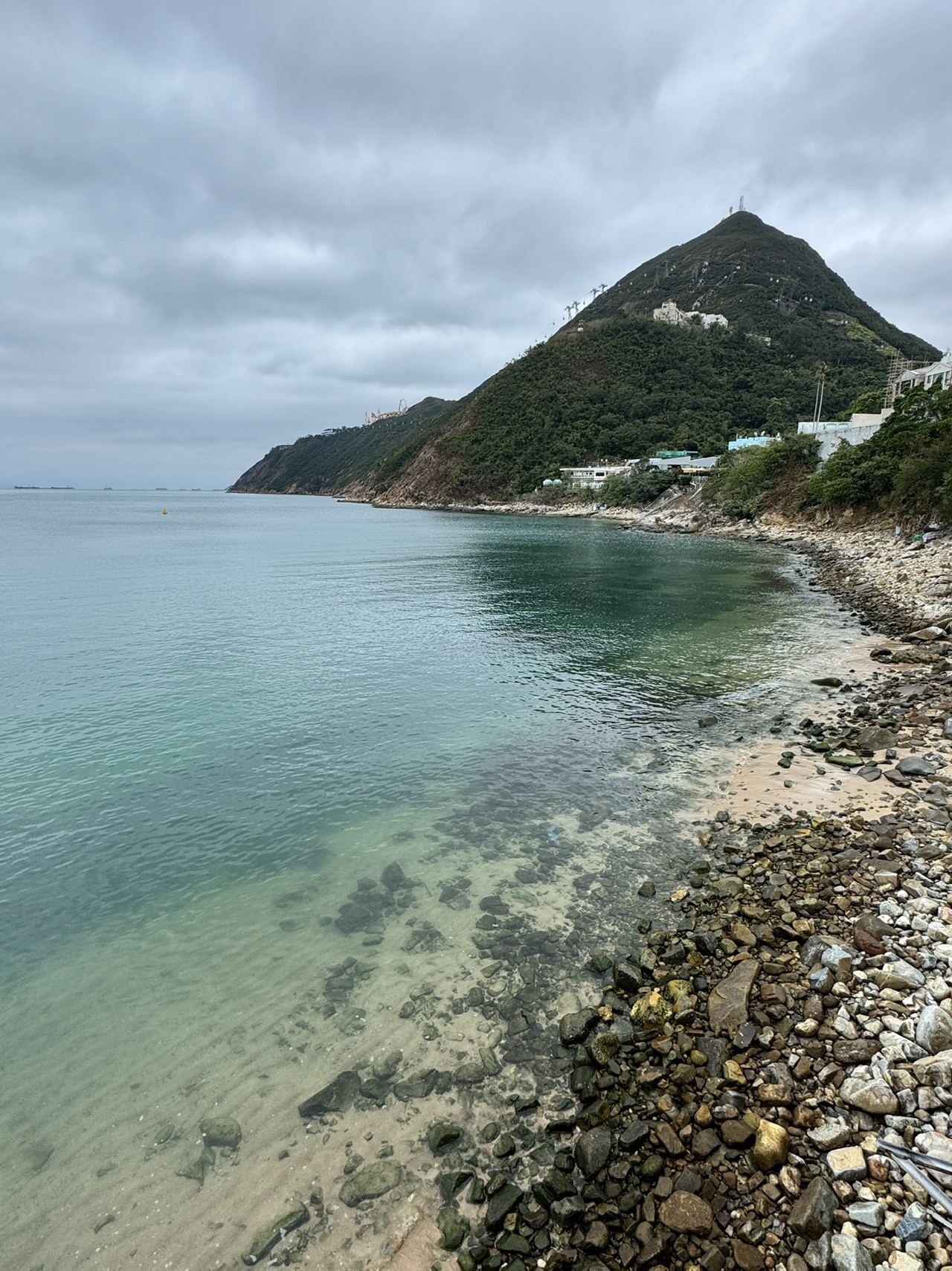 Why is no one talking about Hong Kong's "Jelly Sea"? Just a 15-minute walk from the MTR! 🌊