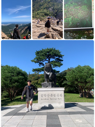 파도 소리로 시작하는 속초의 하루