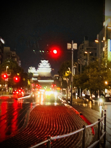🏯400年の時を超えて輝く、世界一美しい白亜の城 | Trip.com 姫路