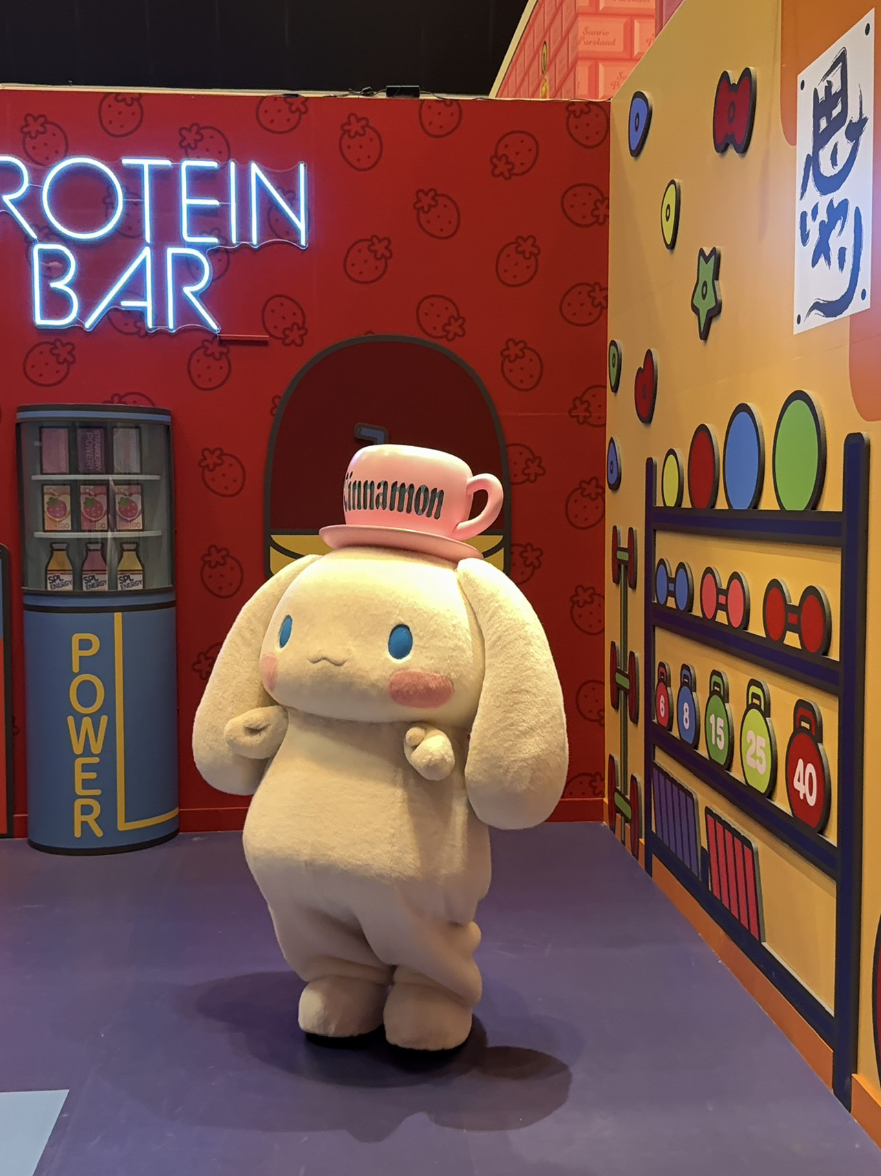Tại sao tôi lại khóc? Một chuyến đi trong ngày đến Sanrio Puroland ở Tokyo 🌈