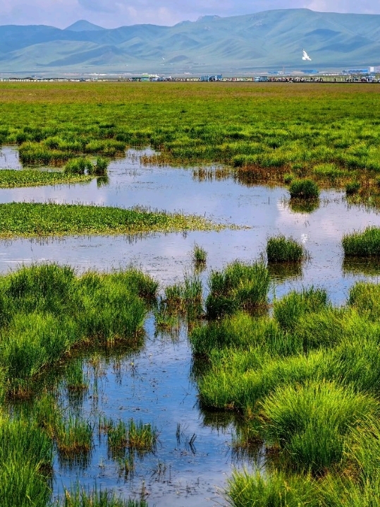🌿 Huahu Lake, Ruoergai | Where the Plateau Breathes