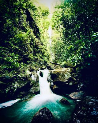 美國喬治亞州血山苔熊毛髮峽谷步道