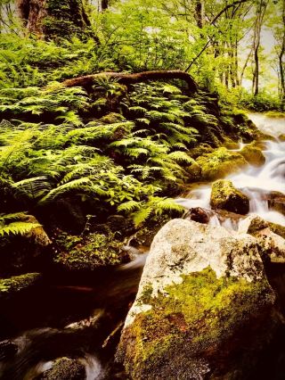 Slovenia Julian Alps Vršič Pass Russian Chapel Mossy Roadeasytravelpost #VrsicPass #RussianChapel #