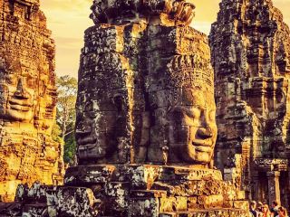 🐢 Roots, Stone, and the Jungle's Embrace at Ta Prohm