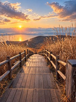 🌿 Hidden beauty of nature awaits you here.