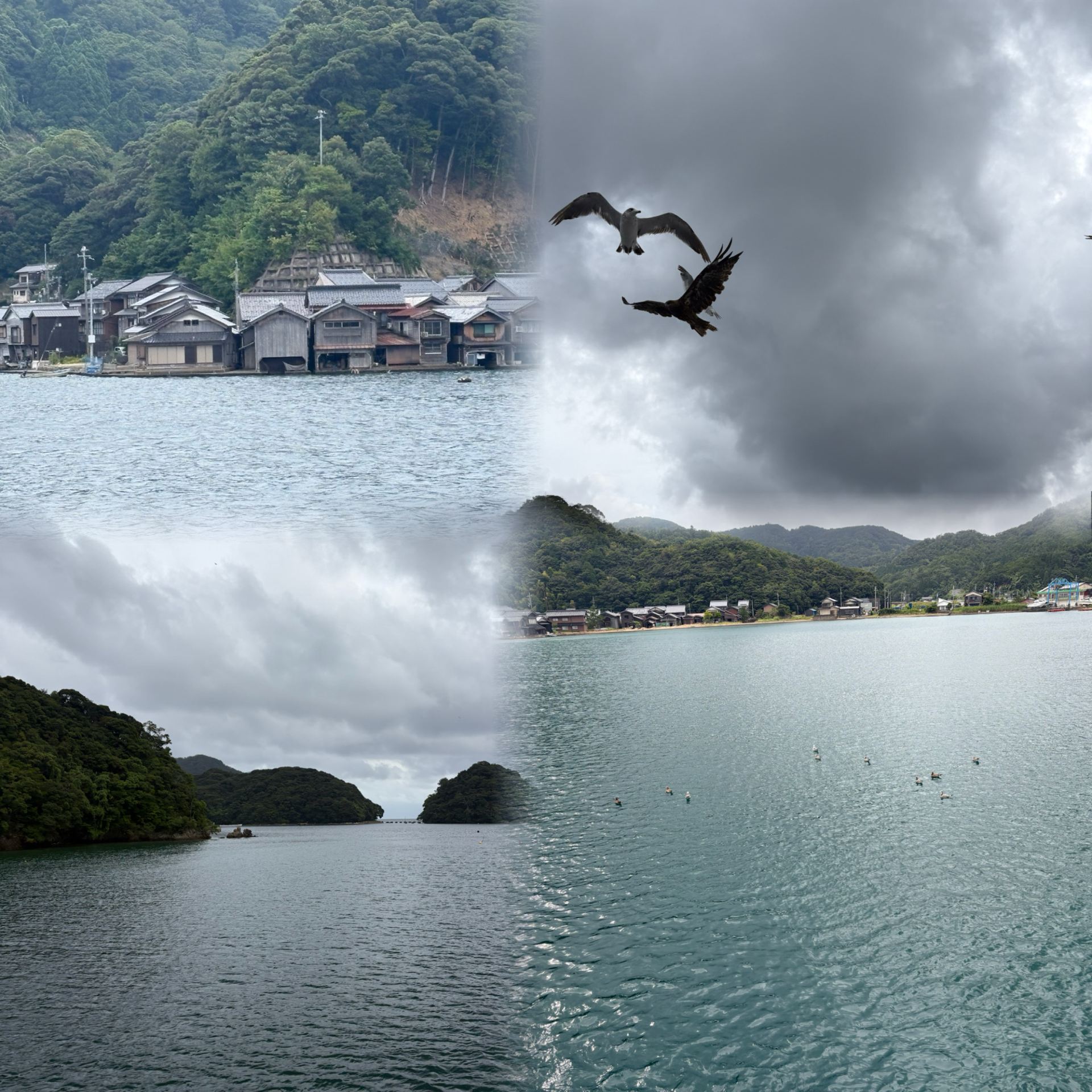 A New Experience: Admiring Funaya Scenery and Feeding Seagulls.