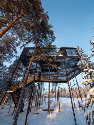 Lost in the Reflective Canopy: Waking Up Inside Harads' Iconic Mirrorcube
