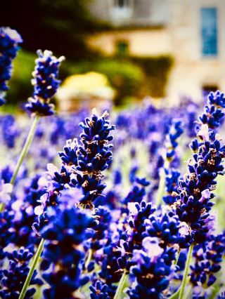 Sciacca thermal spring park walk