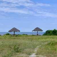 Saadani National Park - Tanzania 