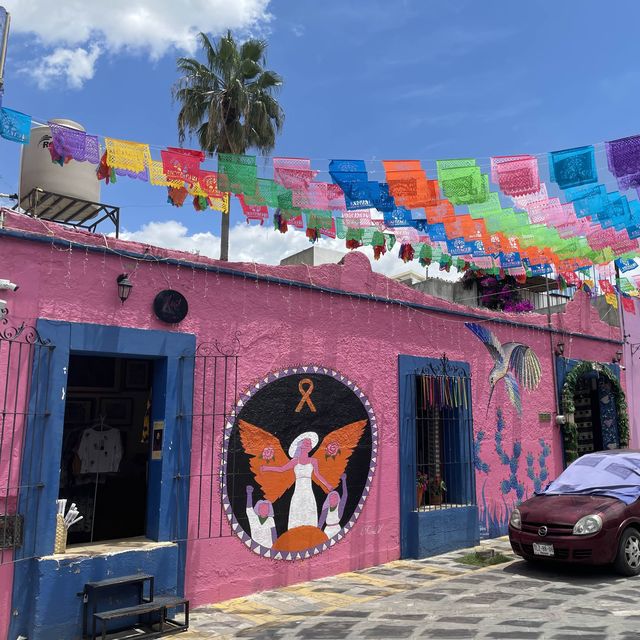 멋있는 자연, 맛있는 음식, 경제적인 가격으로 여행할 수 있는 Mexico Oaxaca! 