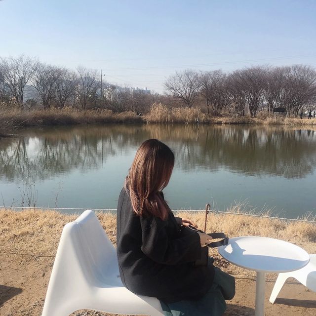 겨울 감성 저수지 뷰를 품은 온실카페! 인천 주말나들이 하기 좋은 곳 라노비아 