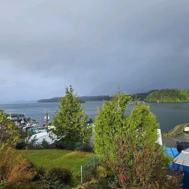 Beautiful & Refreshing Tofino!