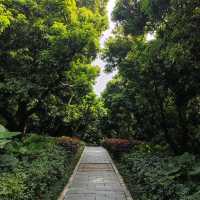 Small little park in Shenzhen ♥ 