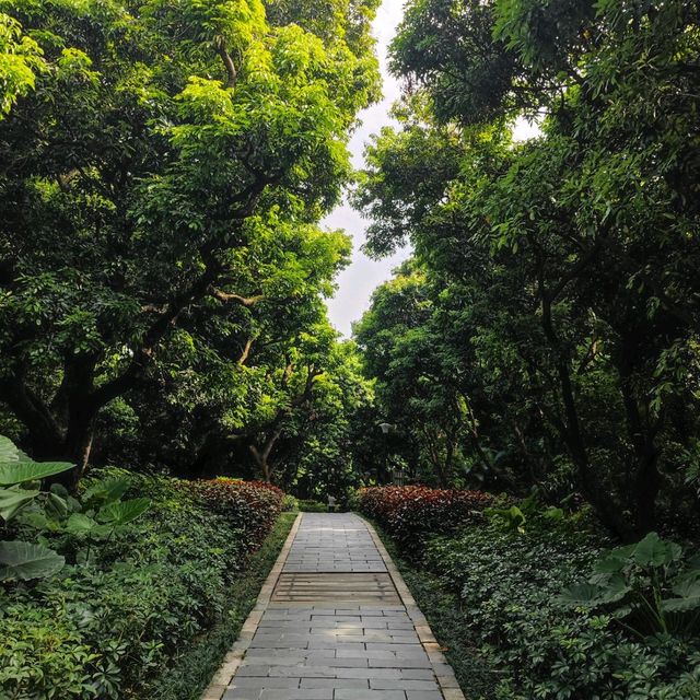 Small little park in Shenzhen ♥ 