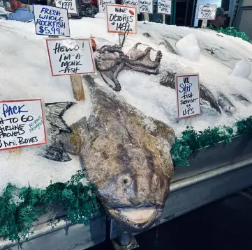 Must-Visit Itinerary in Seattle