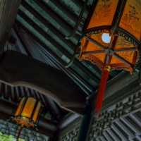 Escape to the Venice of the East, Suzhou