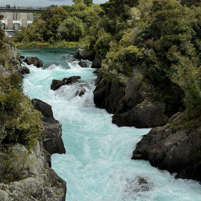 🚘🇳🇿🌄 10-Day Road Trip Through New Zealand’s North Island: An Unforgettable Adventure! 