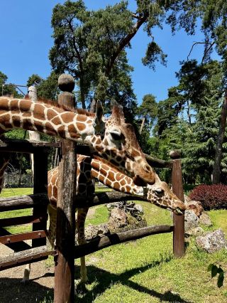 Debrecen Zoo & amusement park