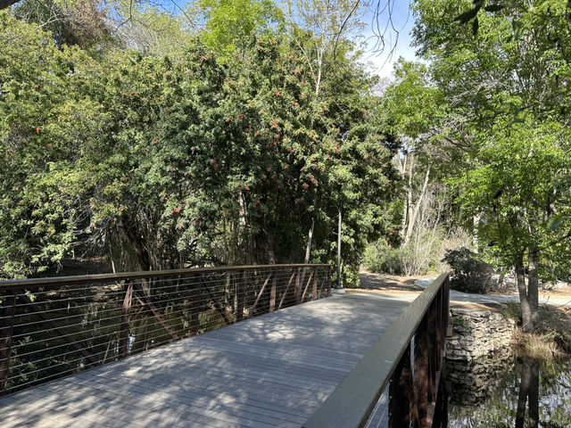 位於市區內佔地面積及大的自然公園