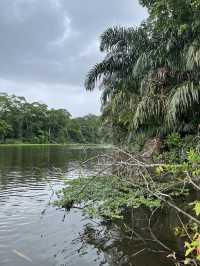 Costa Rica Turtle Island 