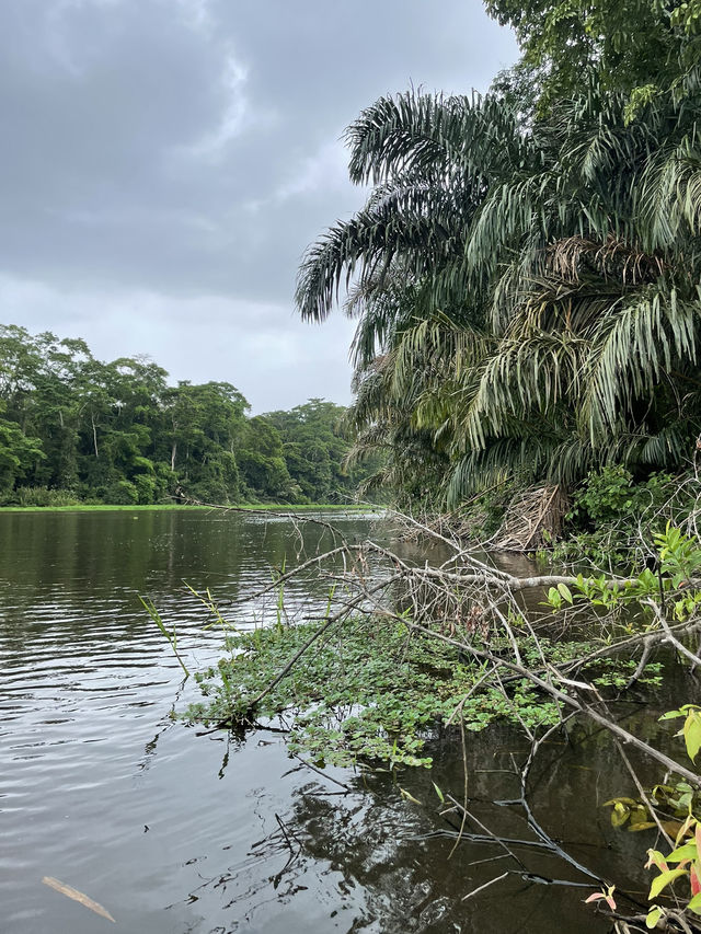 Costa Rica Turtle Island 