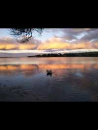 Anson's Bay Tasmania natures masterpiece